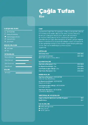 Ebe Cv Örnekleri cv indir